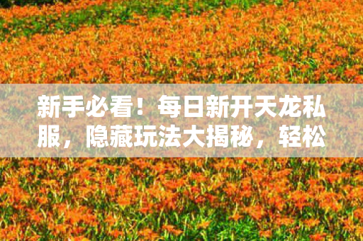 每日新开天龙私服图片