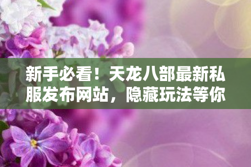 天龙八部最新私服发布网站图片
