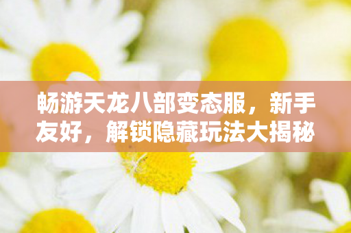 解锁隐藏玩法大揭秘天龙八部私服图片