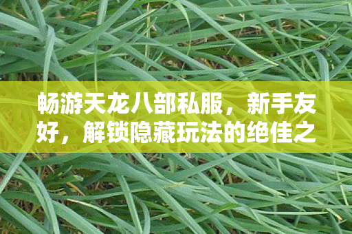 解锁隐藏玩法的绝佳之地天龙八部私服图片