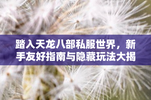 新手友好指南与隐藏玩法大揭秘天龙私服图片