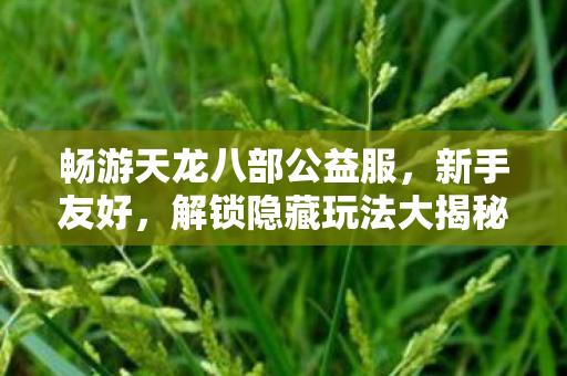 解锁隐藏玩法大揭秘天龙八部私服图片