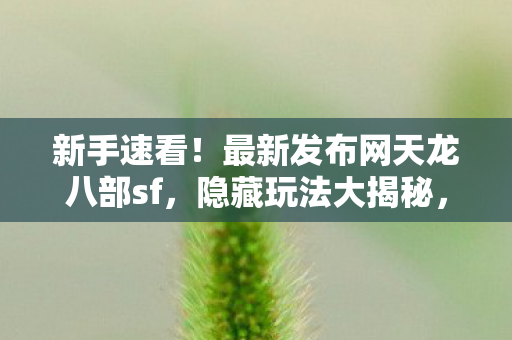 最新发布网天龙八部sf图片