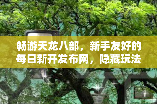 隐藏玩法等你探索天龙八部私服图片