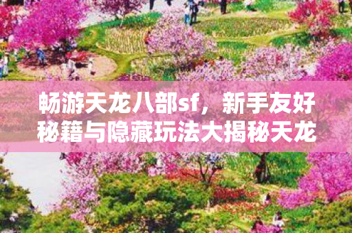 新手友好秘籍与隐藏玩法大揭秘天龙八部私服图片
