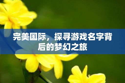 探寻游戏名字背后的梦幻之旅图片