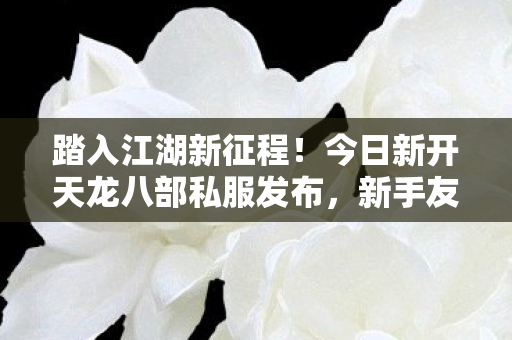 新手友好玩法大揭秘天龙八部私服图片