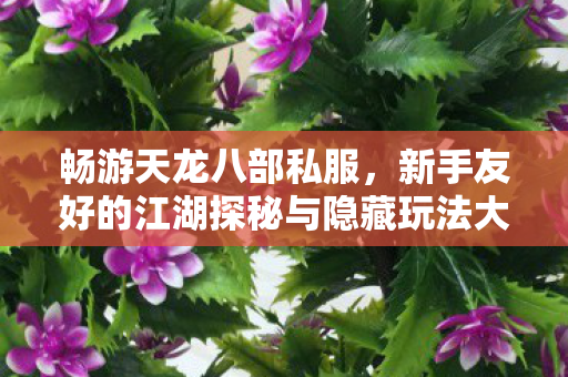 新手友好的江湖探秘与隐藏玩法大揭秘天龙私服图片