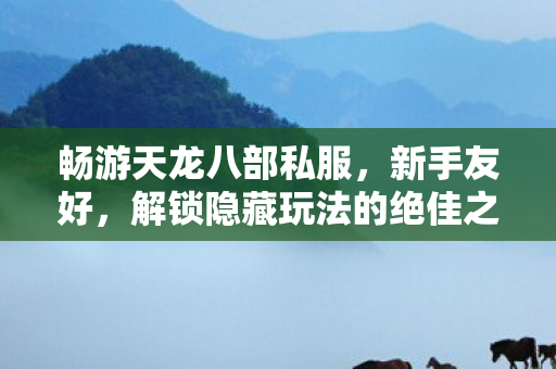解锁隐藏玩法的绝佳之选天龙私服图片