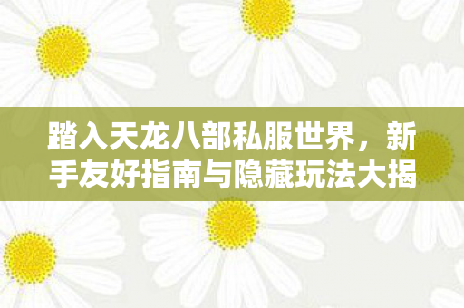 新手友好指南与隐藏玩法大揭秘天龙八部私服图片