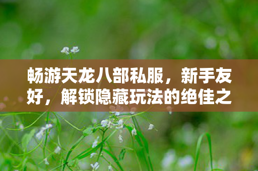 解锁隐藏玩法的绝佳之地天龙八部私服图片