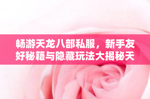 新手友好秘籍与隐藏玩法大揭秘天龙八部私服图片