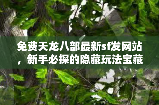 新手必探的隐藏玩法宝藏之地天龙八部私服图片