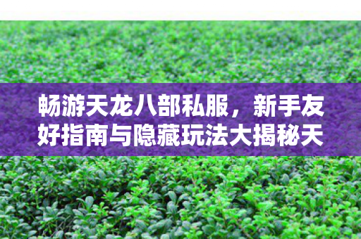 新手友好指南与隐藏玩法大揭秘天龙八部私服图片