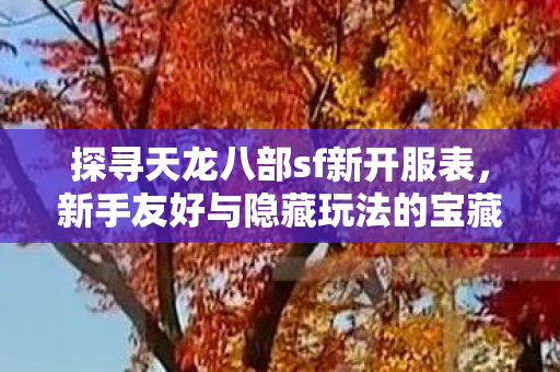 新手友好与隐藏玩法的宝藏世界天龙八部私服图片