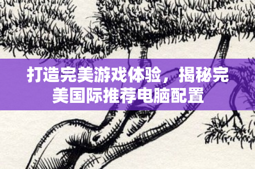 揭秘完美国际推荐电脑配置图片