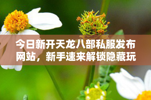今日新开天龙八部私服发布网站图片