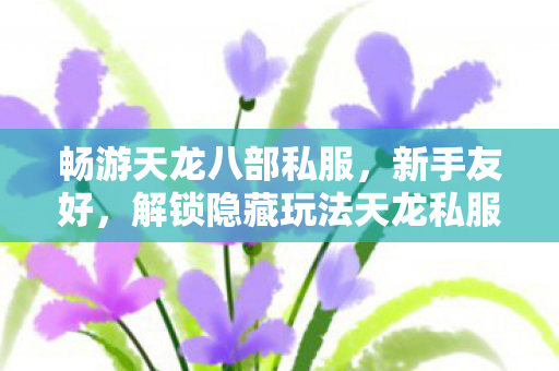 解锁隐藏玩法天龙私服图片