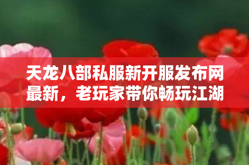 老玩家带你畅玩江湖风云天龙私服图片