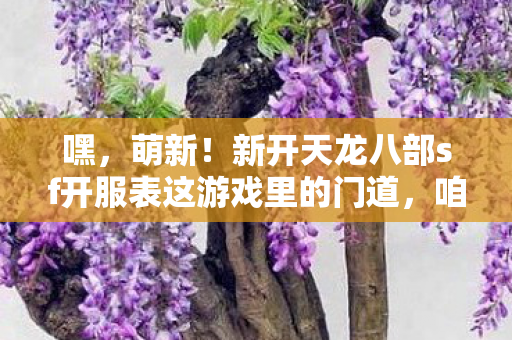 新开天龙八部sf开服表这游戏里的门道图片