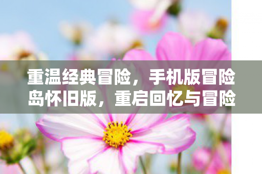 手机版冒险岛怀旧版图片