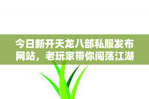 老玩家带你闯荡江湖天龙八部私服图片
