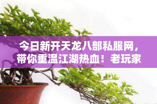 老玩家带你畅玩全新世界天龙私服图片