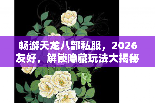 解锁隐藏玩法大揭秘天龙私服图片