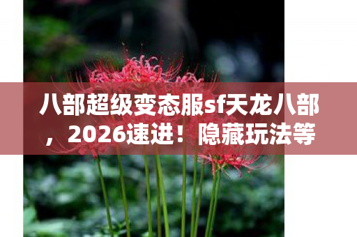 隐藏玩法等你发掘天龙八部私服图片