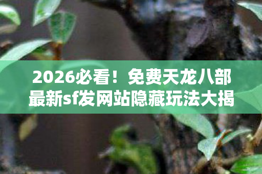 免费天龙八部最新sf发网站隐藏玩法大揭秘天龙八部私服图片