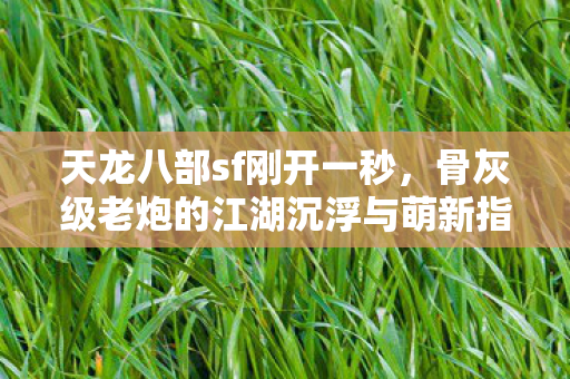 骨灰级老炮的江湖沉浮与萌新指南天龙私服图片
