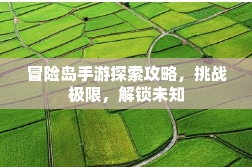 冒险岛手游探索攻略图片