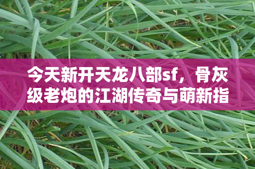 骨灰级老炮的江湖传奇与萌新指南天龙私服图片