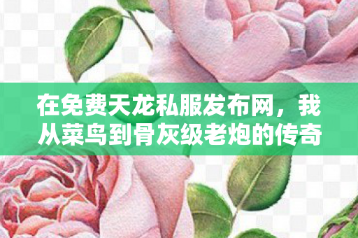 我从菜鸟到骨灰级老炮的传奇之路天龙私服图片