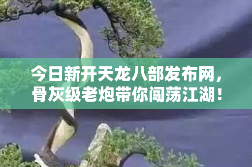 今日新开天龙八部发布网图片