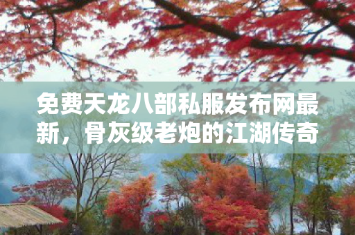 骨灰级老炮的江湖传奇与萌新指南天龙私服图片