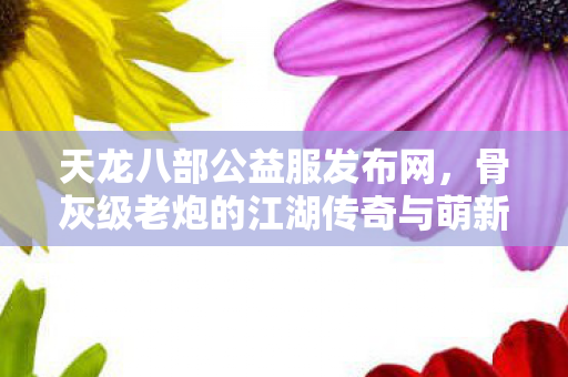 骨灰级老炮的江湖传奇与萌新避坑指南天龙八部私服图片