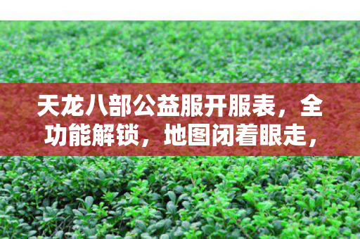 PK 乱杀的骨灰级玩法天龙私服图片