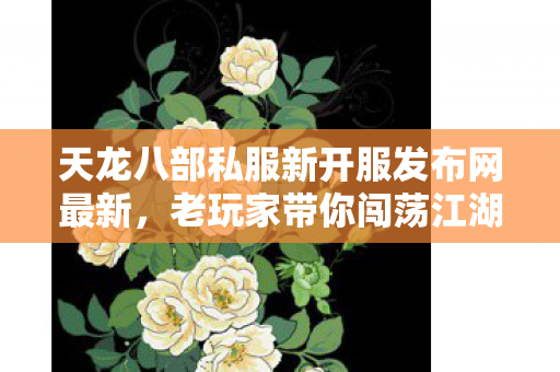 天龙八部私服新开服发布网最新图片