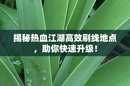 揭秘热血江湖高效刷线地点图片