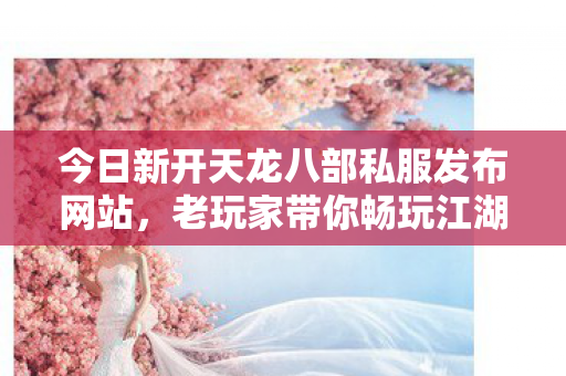 今日新开天龙八部私服发布网站图片