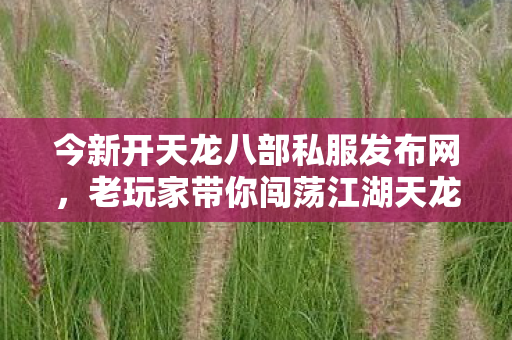 老玩家带你闯荡江湖天龙私服图片