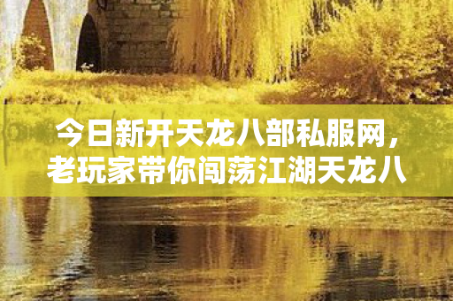 老玩家带你闯荡江湖天龙八部私服图片