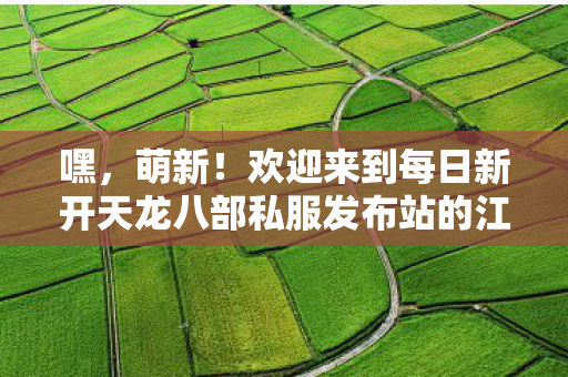 欢迎来到每日新开天龙八部私服发布站的江湖世界图片