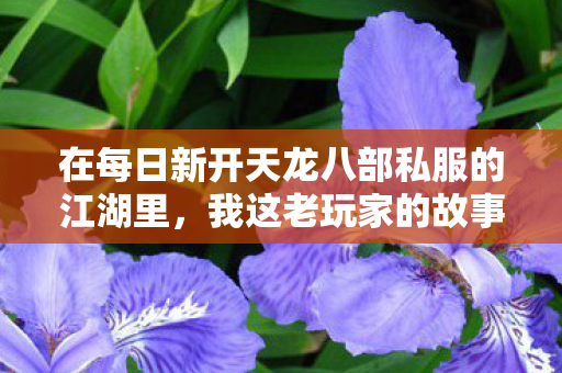 在每日新开天龙八部私服的江湖里图片