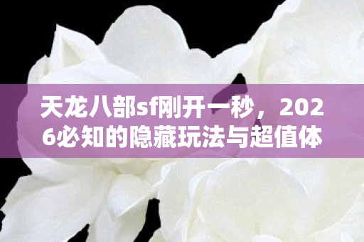 2026必知的隐藏玩法与超值体验天龙八部私服图片
