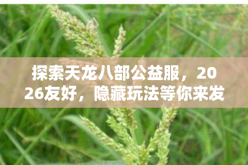 隐藏玩法等你来发掘天龙私服图片