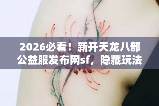 新开天龙八部公益服发布网sf图片
