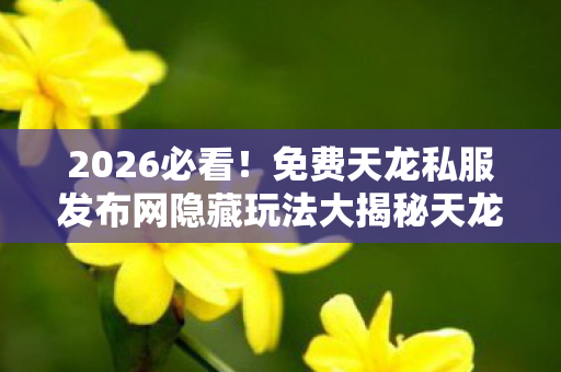 免费天龙私服发布网隐藏玩法大揭秘天龙私服图片