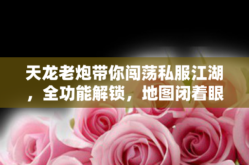 PK乱杀不是梦天龙八部私服图片